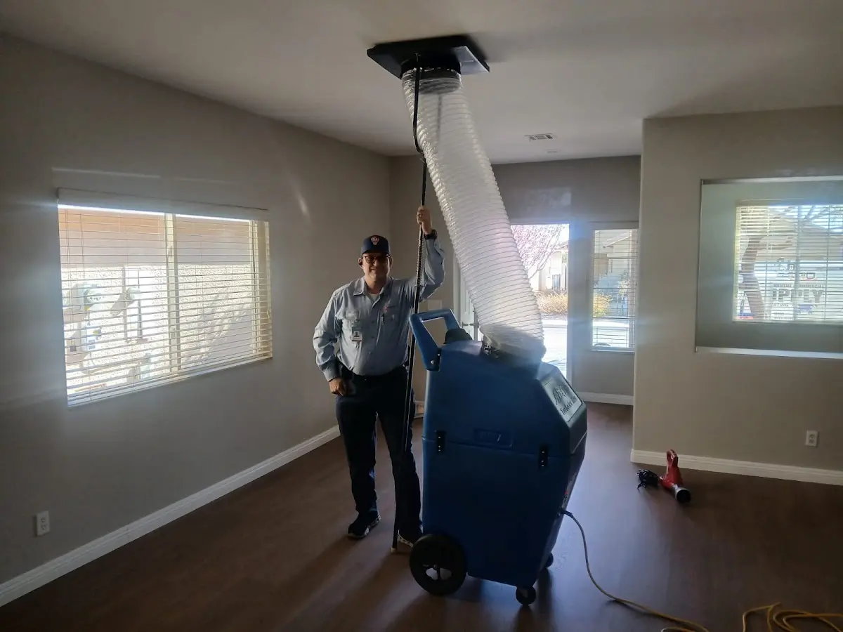 Professional Dryer Vent Cleaning work inside a Forest home